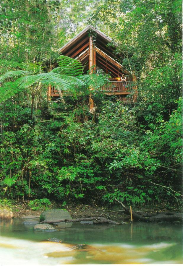 The Canopy Rainforest Treehouses & Wildlife Sanctuary Tarzali Ngoại thất bức ảnh